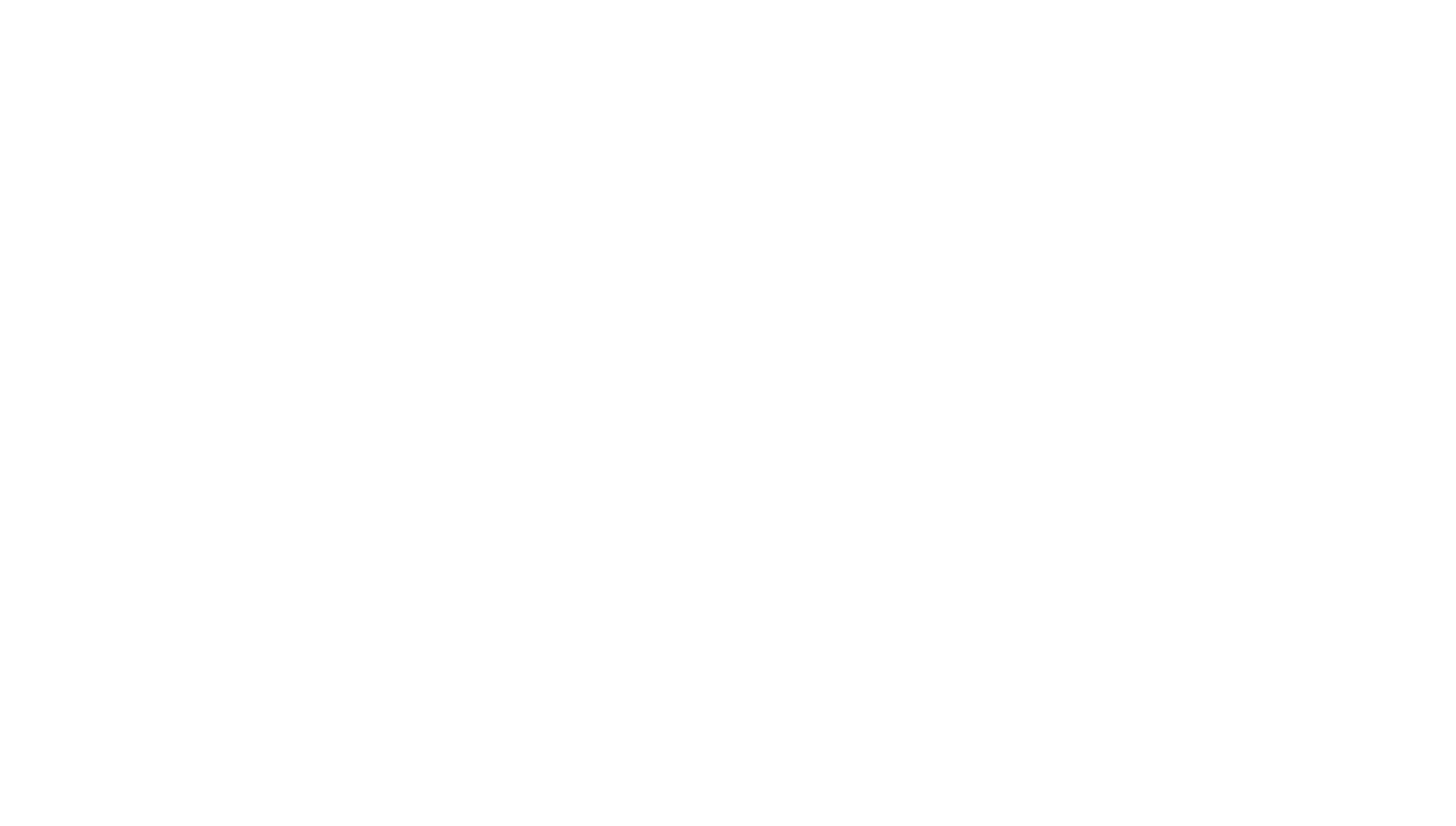 Ski Brand
