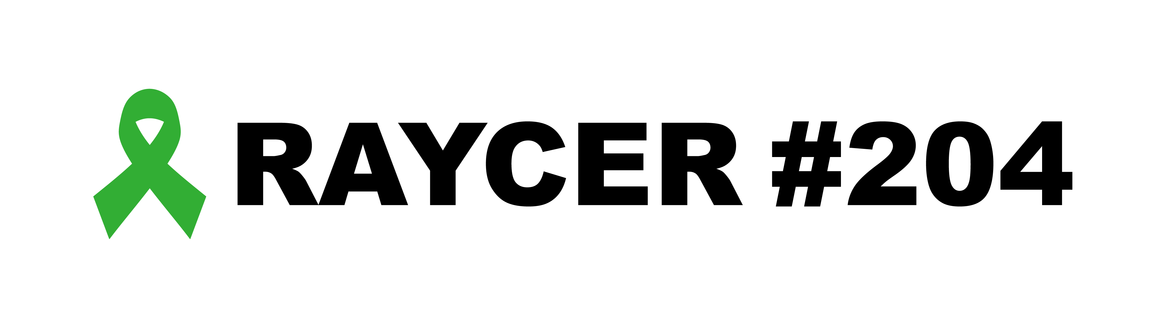 Raycer 204