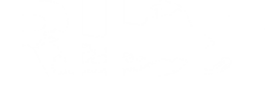 Ride Snowmobile BC - MI