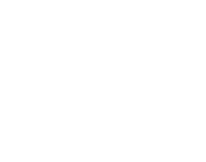 Ride FL - Outline