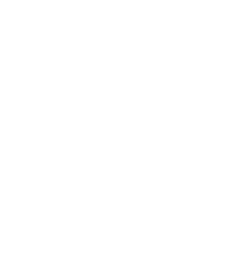 Hooligan Zero F