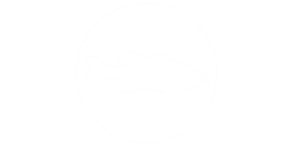 Fish Bass Icon 