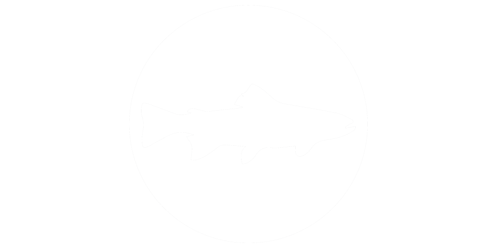 Fish Trout Icon 