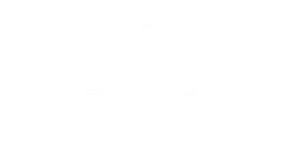 Hunt Pheasant Icon 