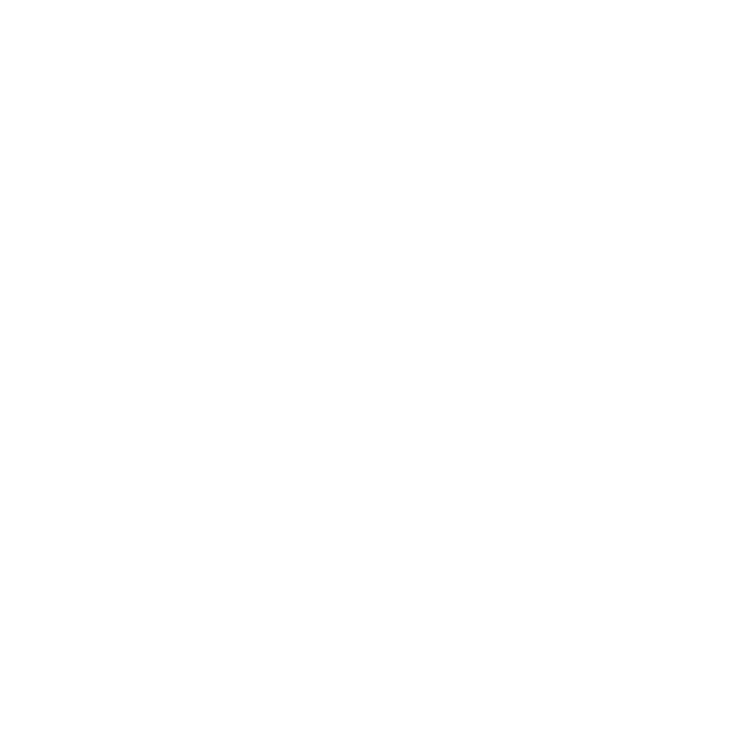 Moe Bike