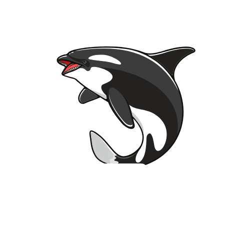 Team H2O