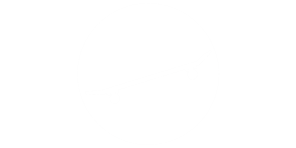Ride Skate Icon 